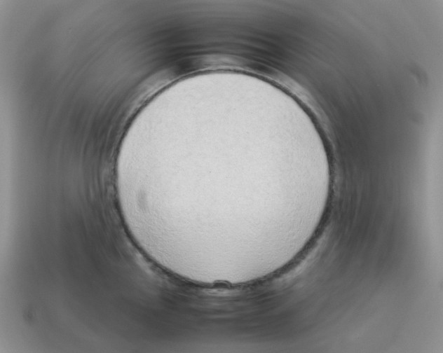 X0000114221145200911061501