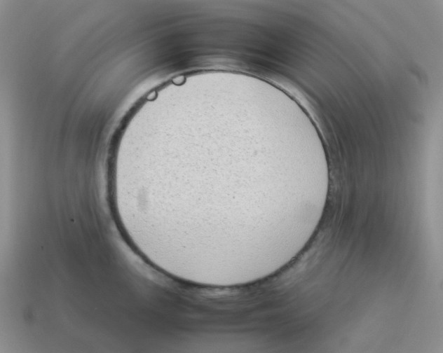 X0000114221147200911061501