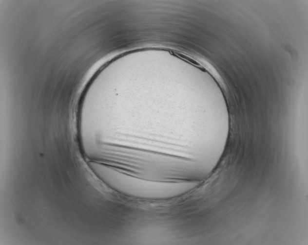 X0000114221148200911061501