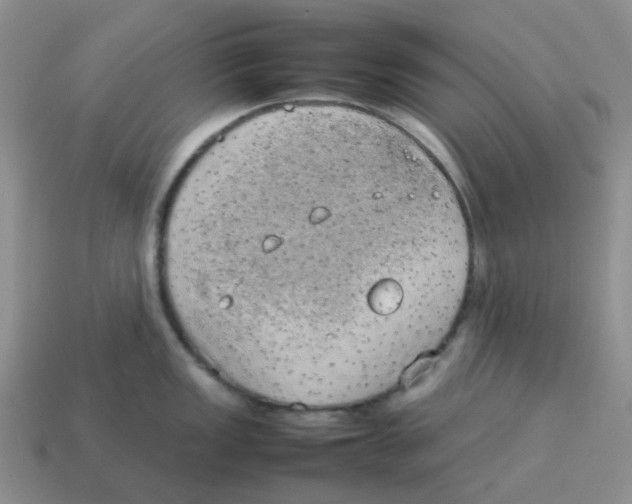 X0000114221149200911061501