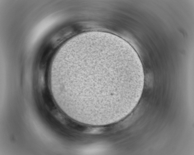 X0000114221150200911061501