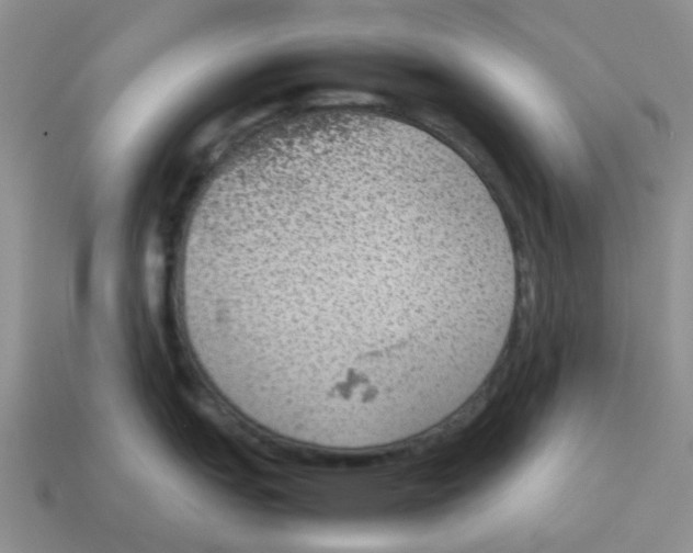 X0000114221151200911061501