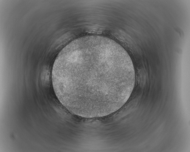 X0000114221154200911061501