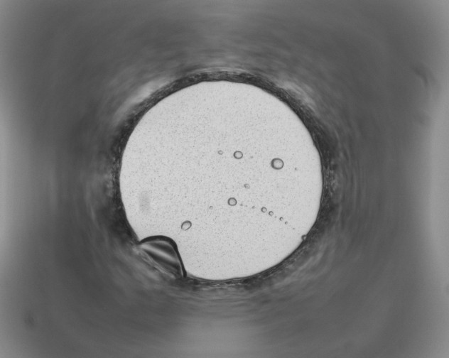 X0000114221159200911061501