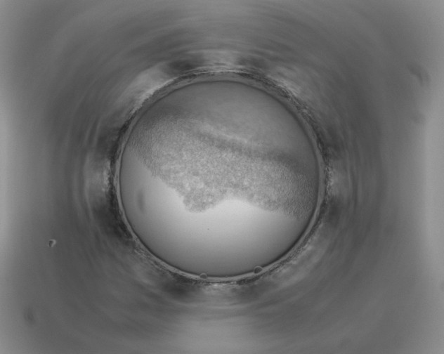 X0000114221161200911061501