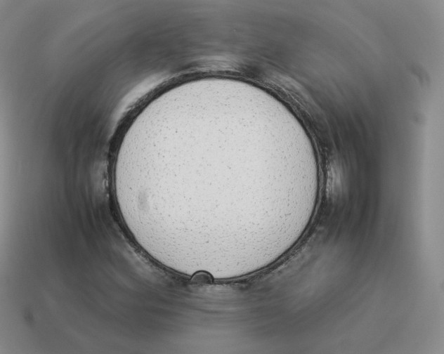 X0000114221164200911061500