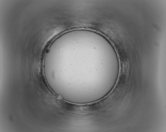 X0000114221165200911061500