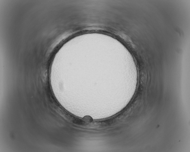 X0000114221167200911061500