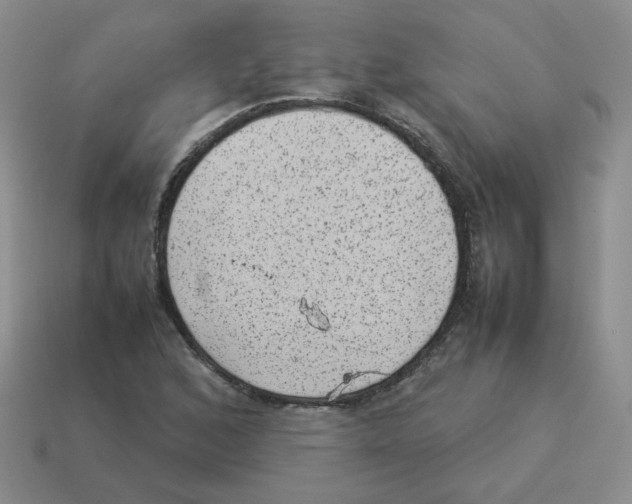 X0000114221168200911061500