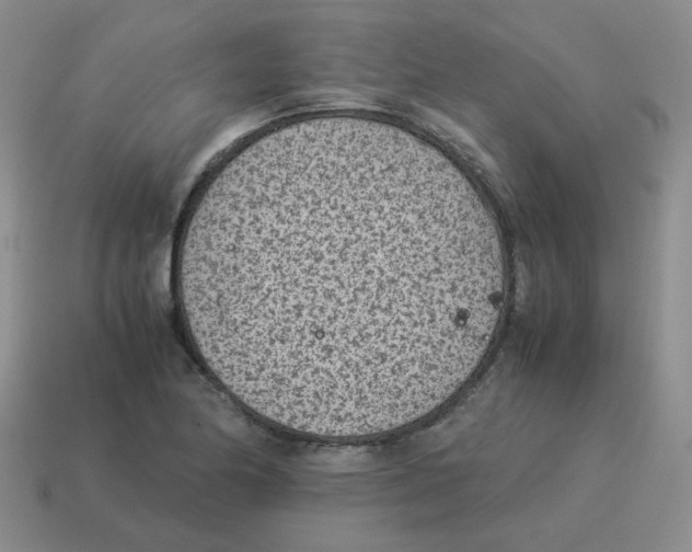 X0000114221174200911061500