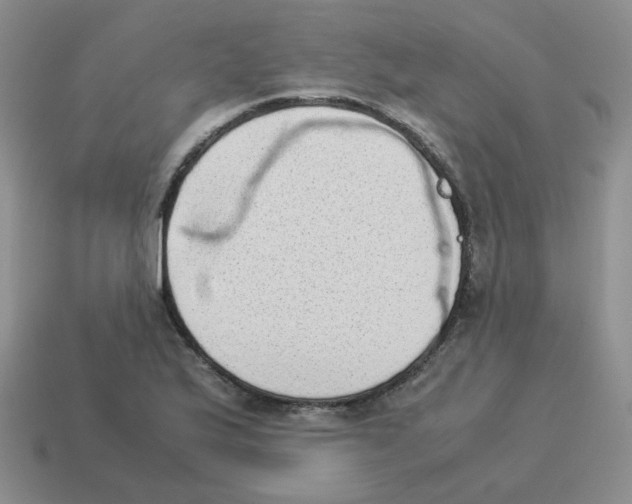 X0000114221175200911061500