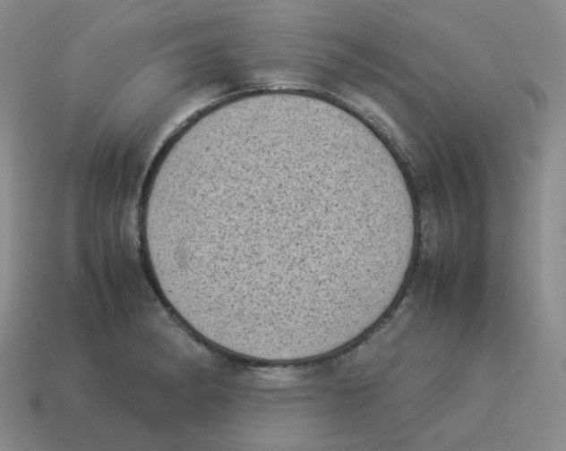 X0000114221182200911061500