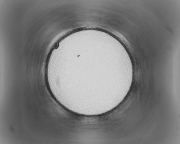 X0000114221183200911061500