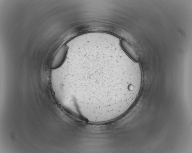 X0000114221185200911061500