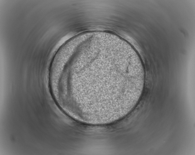 X0000114221187200911061500