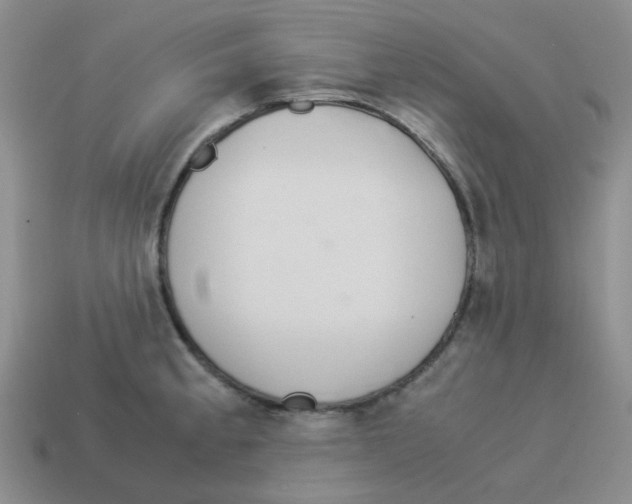 X0000114221189200911061500