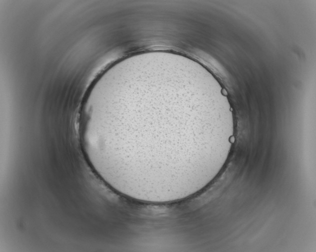 X0000114221190200911061500