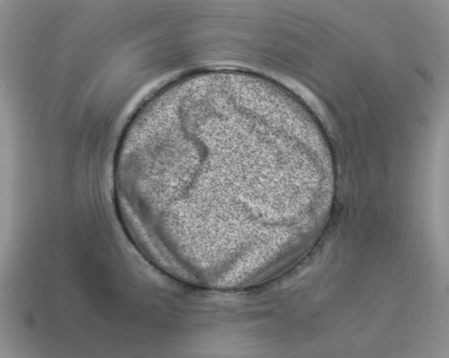 X0000114221191200911061500