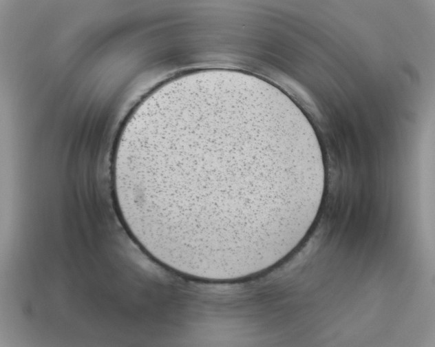 X0000114221192200911061500