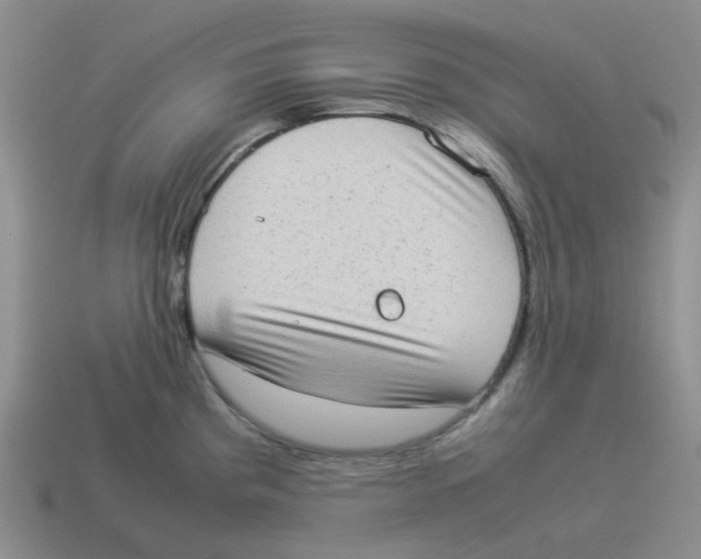 X0000114221193200911061500