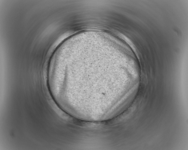 X0000114221195200911061500