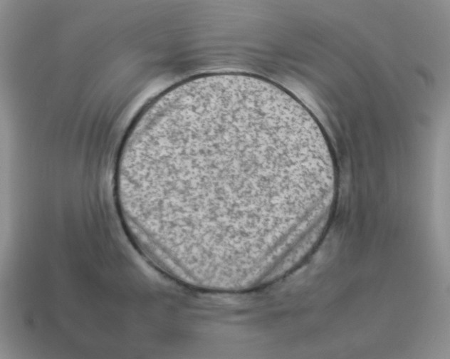 X0000114221197200911061500