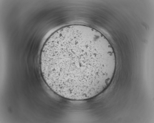 X0000114221200200911061500