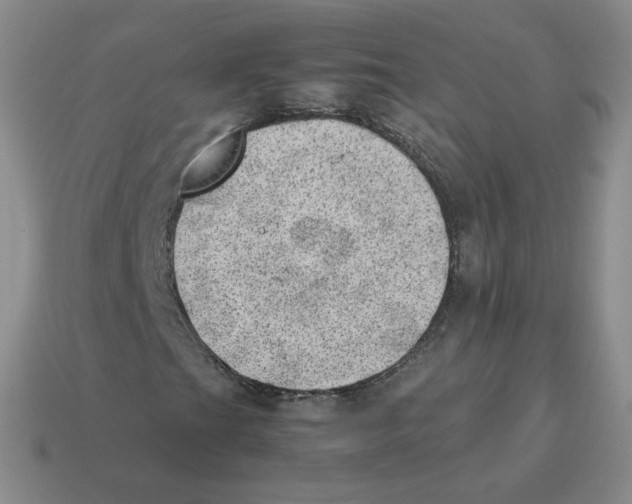 X0000114221201200911061459