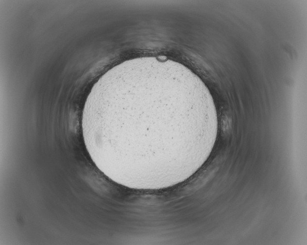 X0000114221204200911061459