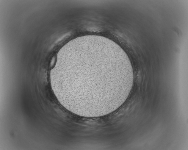 X0000114221205200911061459