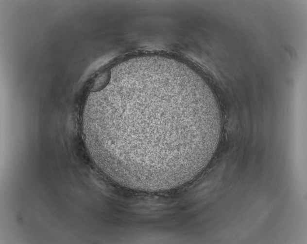 X0000114221207200911061459