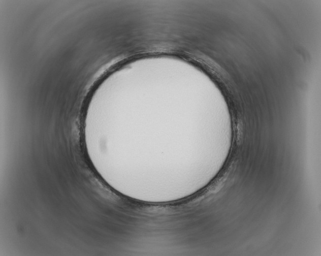 X0000114221212200911061500