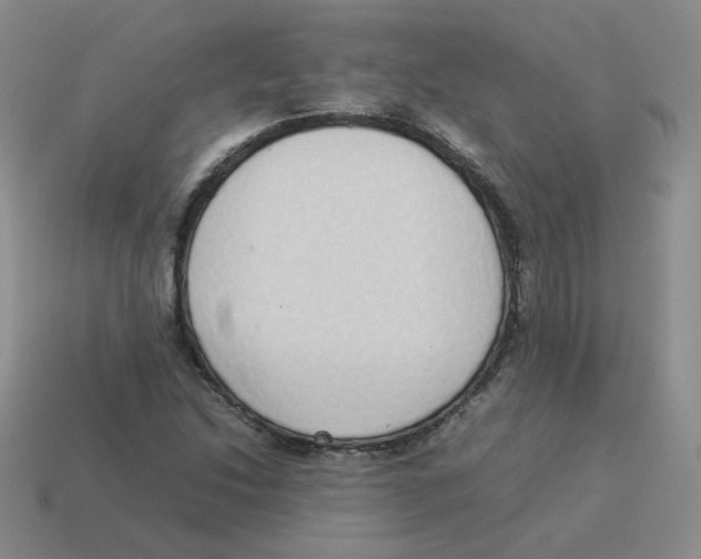 X0000114221214200911061500