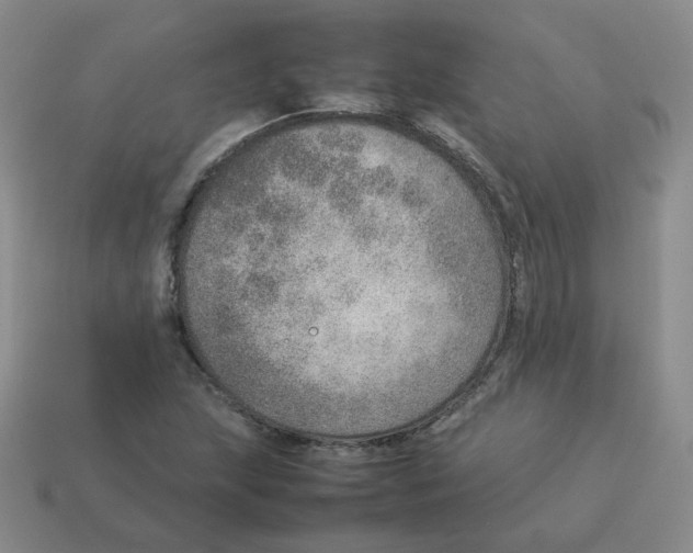 X0000114221215200911061500