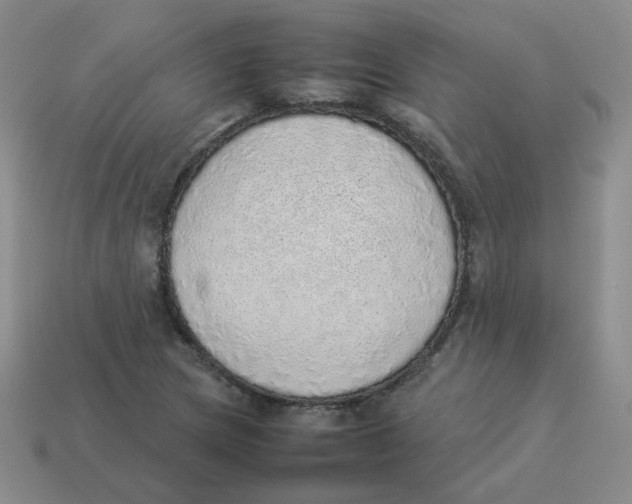 X0000114221217200911061500