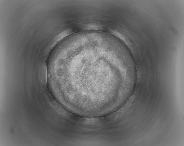 X0000114221219200911061500