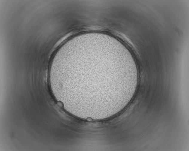 X0000114221220200911061500