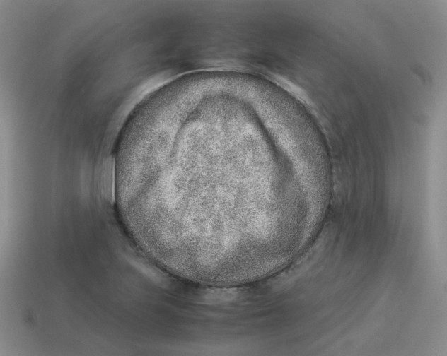 X0000114221223200911061500