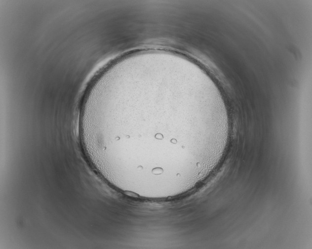 X0000114221224200911061500