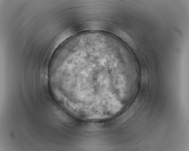 X0000114221226200911061500