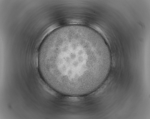 X0000114221227200911061500