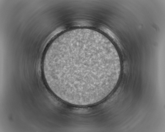 X0000114221229200911061500