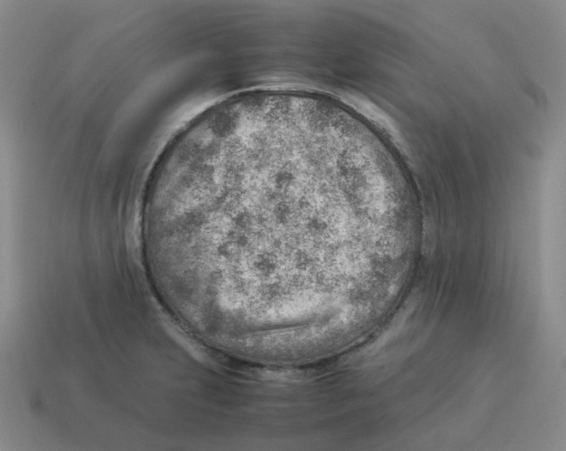 X0000114221231200911061500