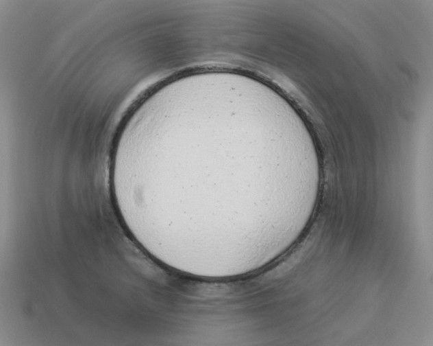 X0000114221232200911061500