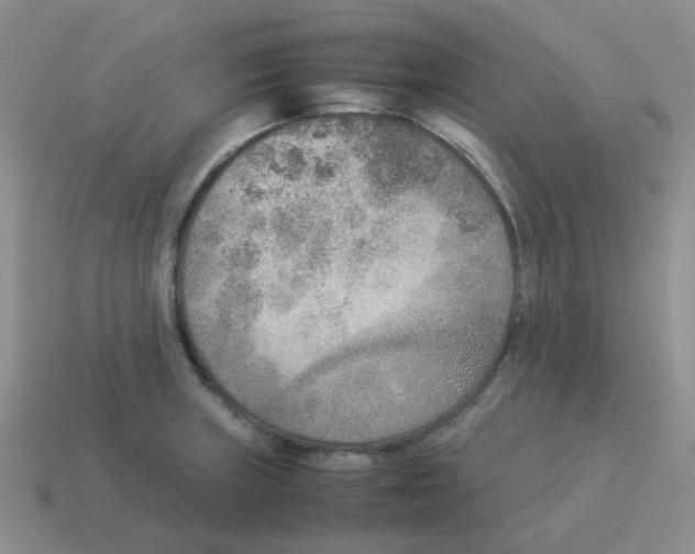 X0000114221235200911061500