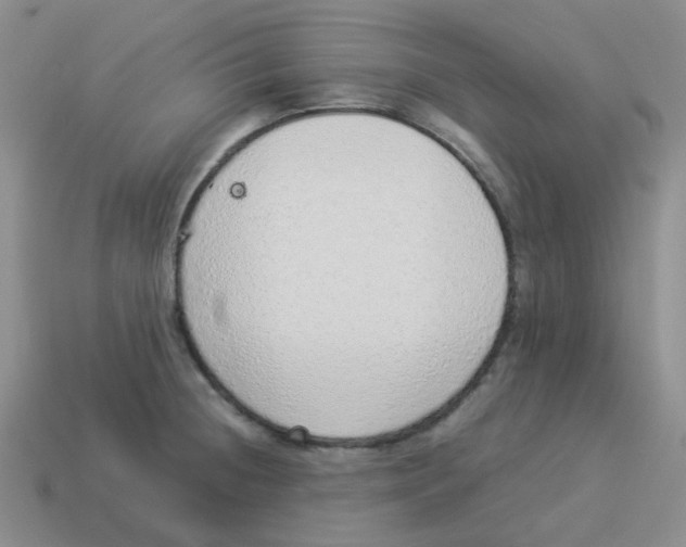 X0000114221236200911061500