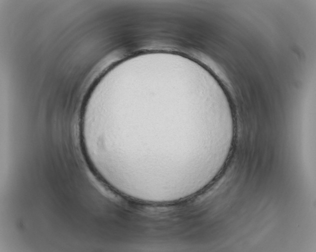 X0000114221237200911061500