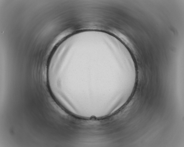 X0000114221238200911061500