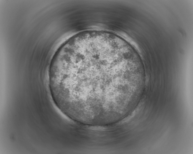 X0000114221239200911061500