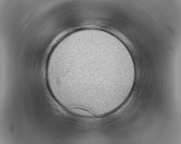 X0000114221240200911061500